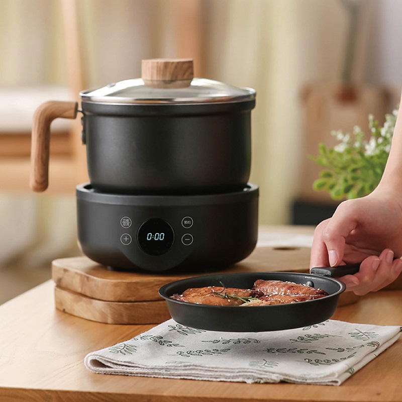 110V/220V 다기능 전기 조리기구 논스틱 프라이팬 - Camping Cooking Rice 리뷰 및 가격
