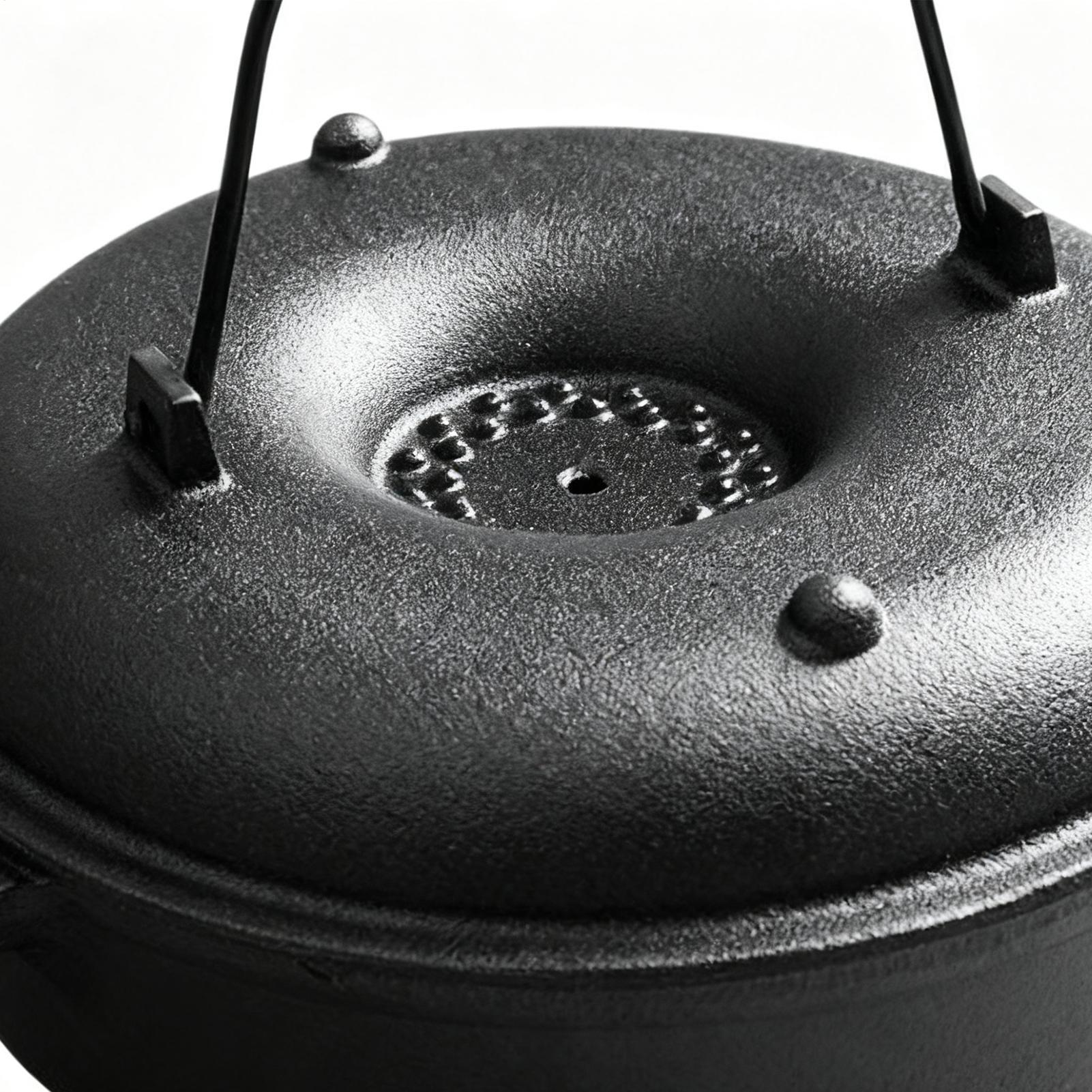 손잡이가 있는 논스틱 조리기구용 대형 냄비, 뚜껑이 있 - Camping Cooking Cast Iron 리뷰 및 가격