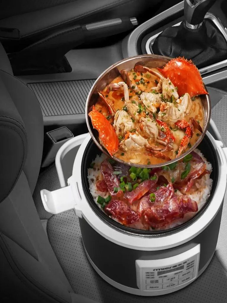 ARIER 12-24V 220V 밥솥 다기능 찜기 음식 - Camping Cooking Rice 리뷰 및 가격